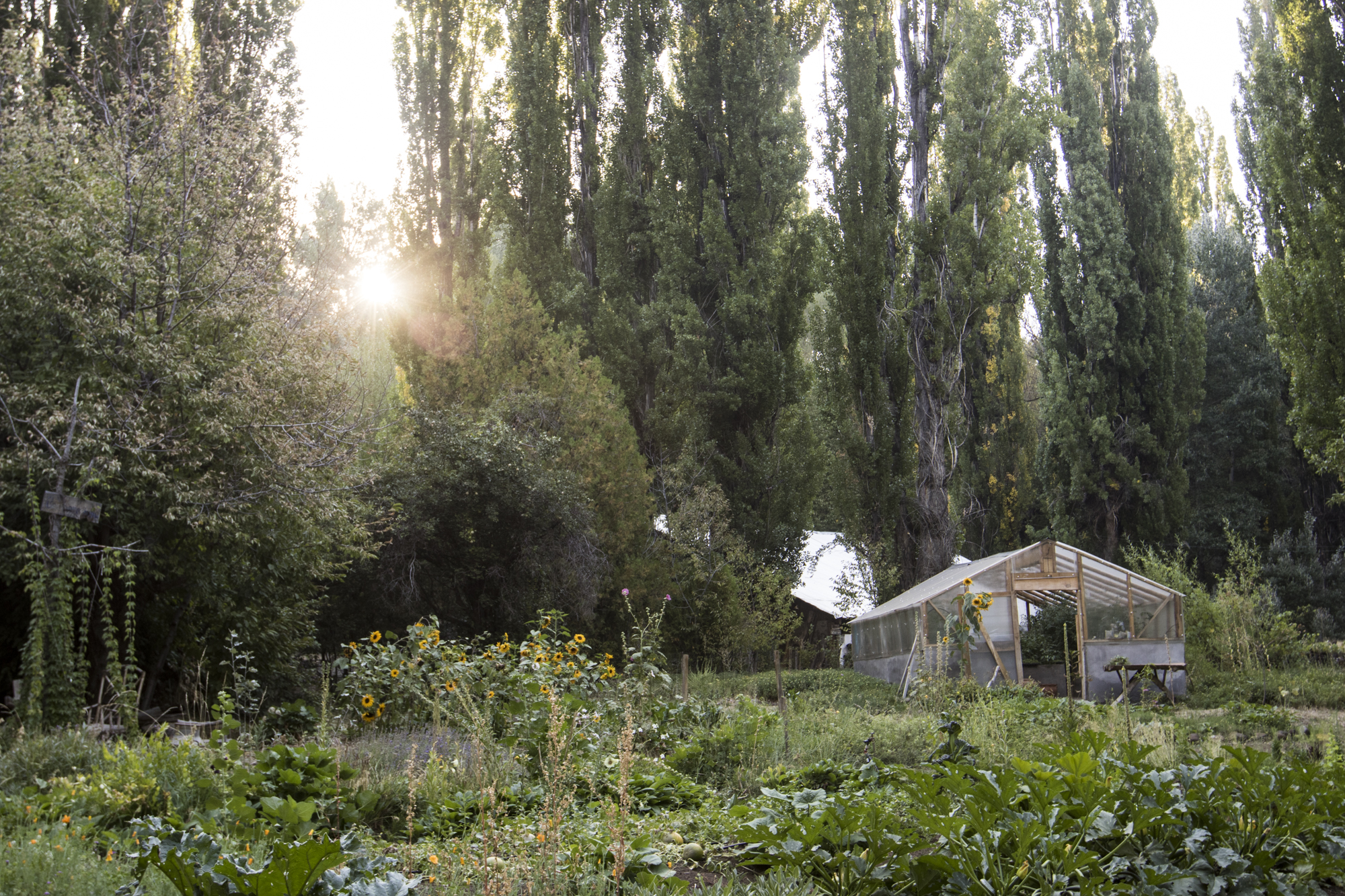 The organic garden at Estancia Ranquilco provides fresh produce to the off-grid lodge