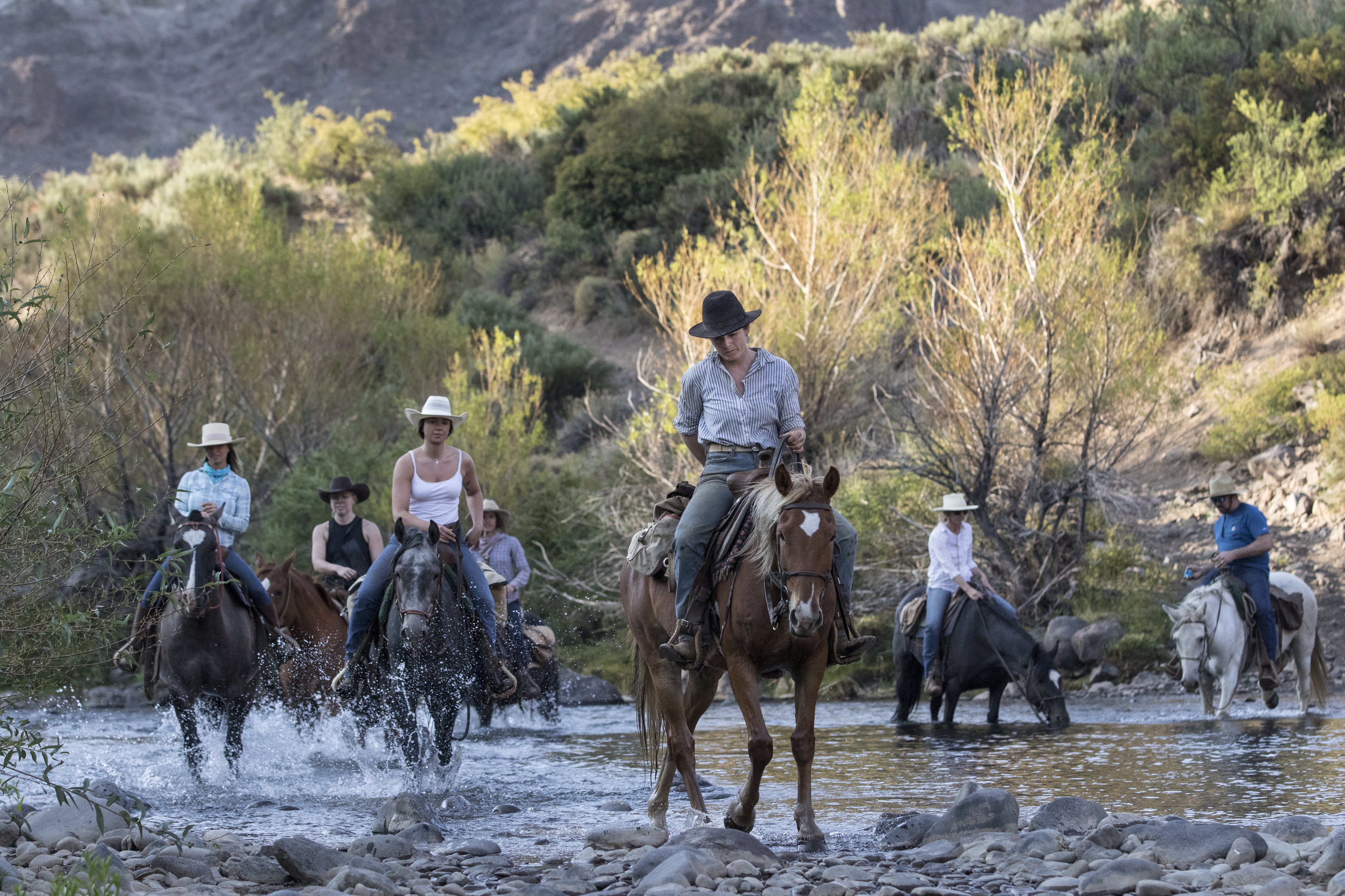 Criollo horses crossing the river