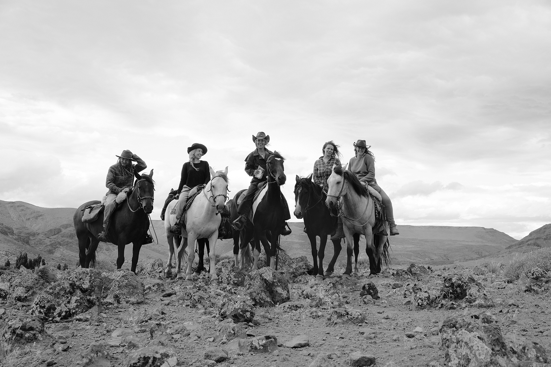 horses in Patagonia