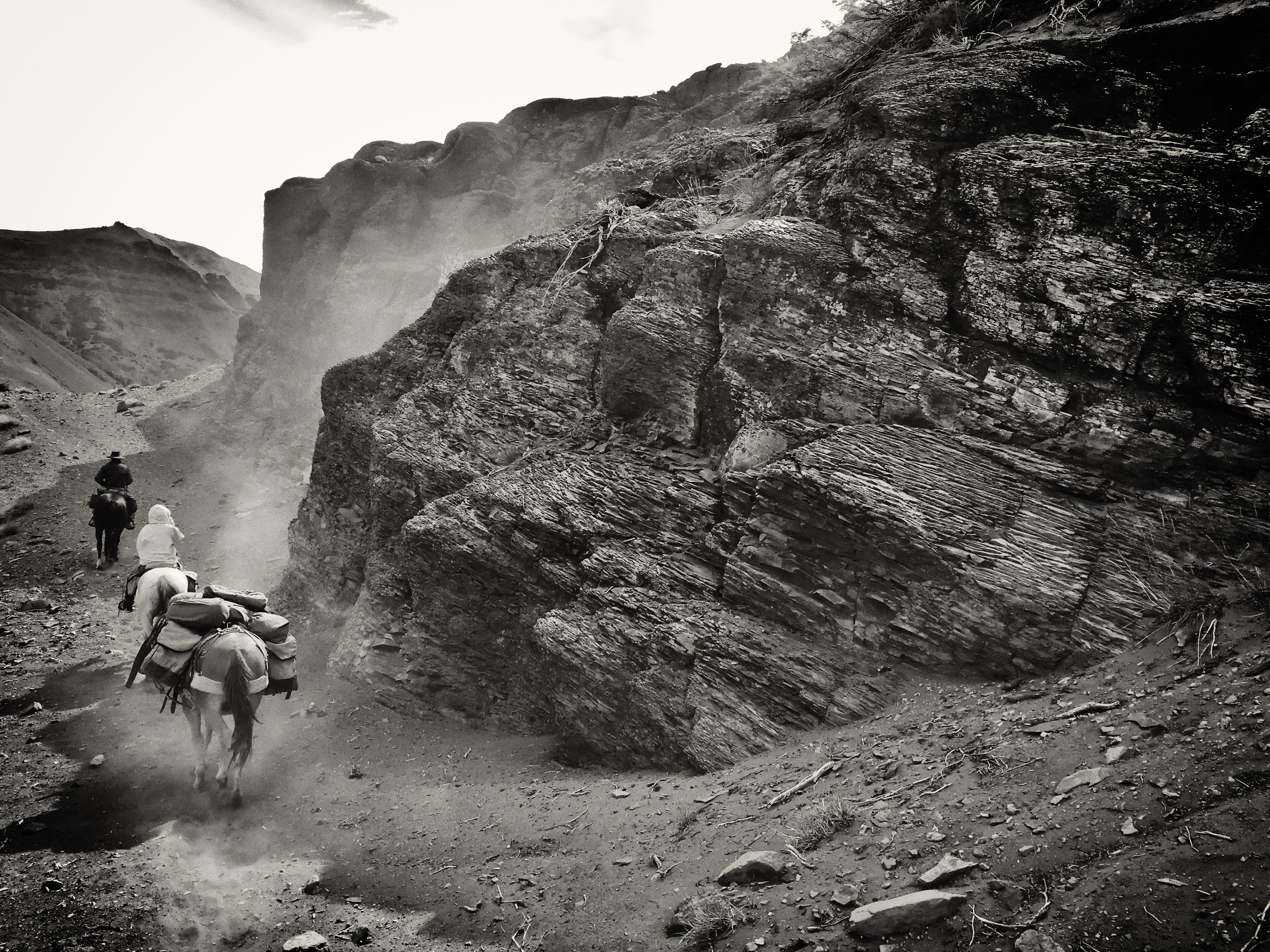 Black and white photo of mountain horse pack trip