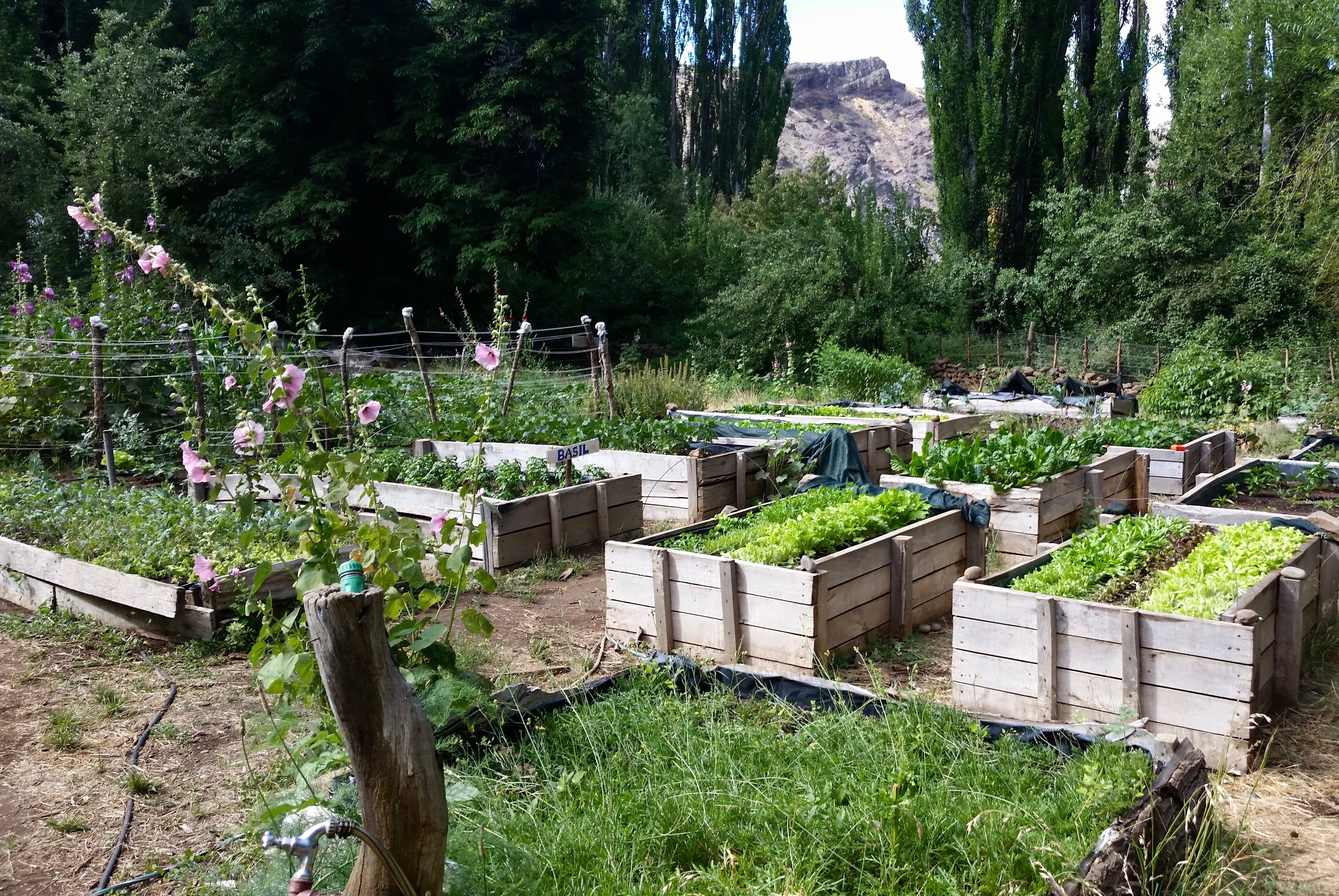 Organic garden beds and flowers with mountain in background at Estancia Ranquilco horse ranch in Patagonia Argentina