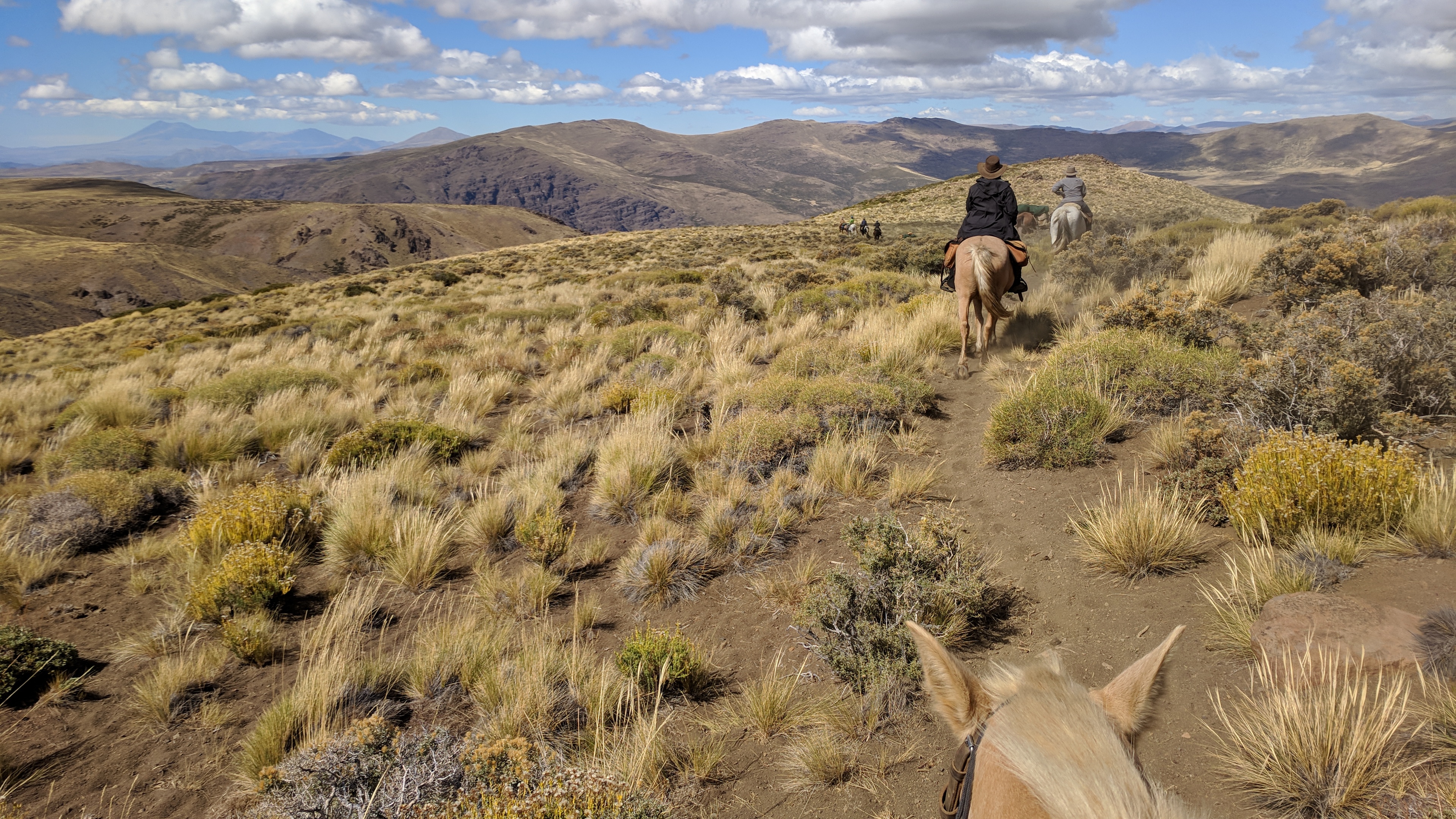 Riding through Patagonia Argentina on a horse pack trip at Estancia Ranquilco