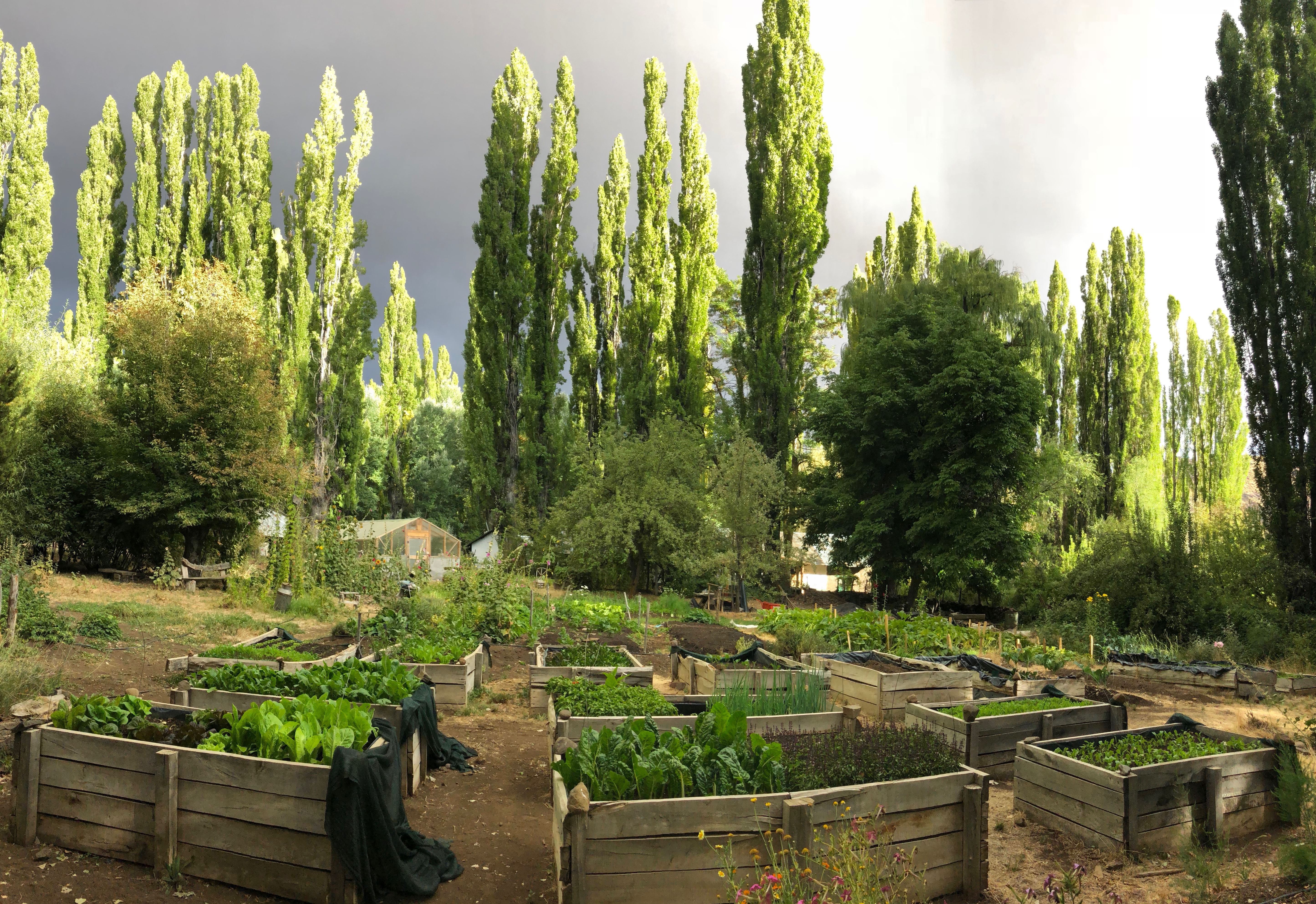 Estancia Ranquilco's organic garden supplies fresh produce to Ranquilco kitchens every day
