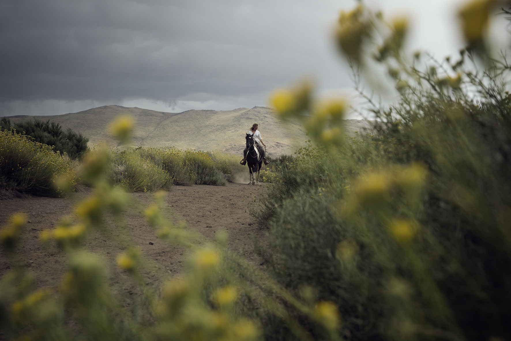 Woman riding horse in Argentina landscape action photography