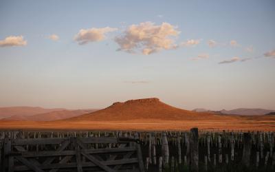 Sunset photo on a ranch in Argentina