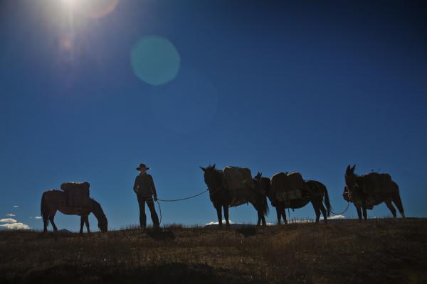 Silhouette of woman standing with pack mules on horse pack trip at Estancia Ranquilco in Patagonia Argentina
