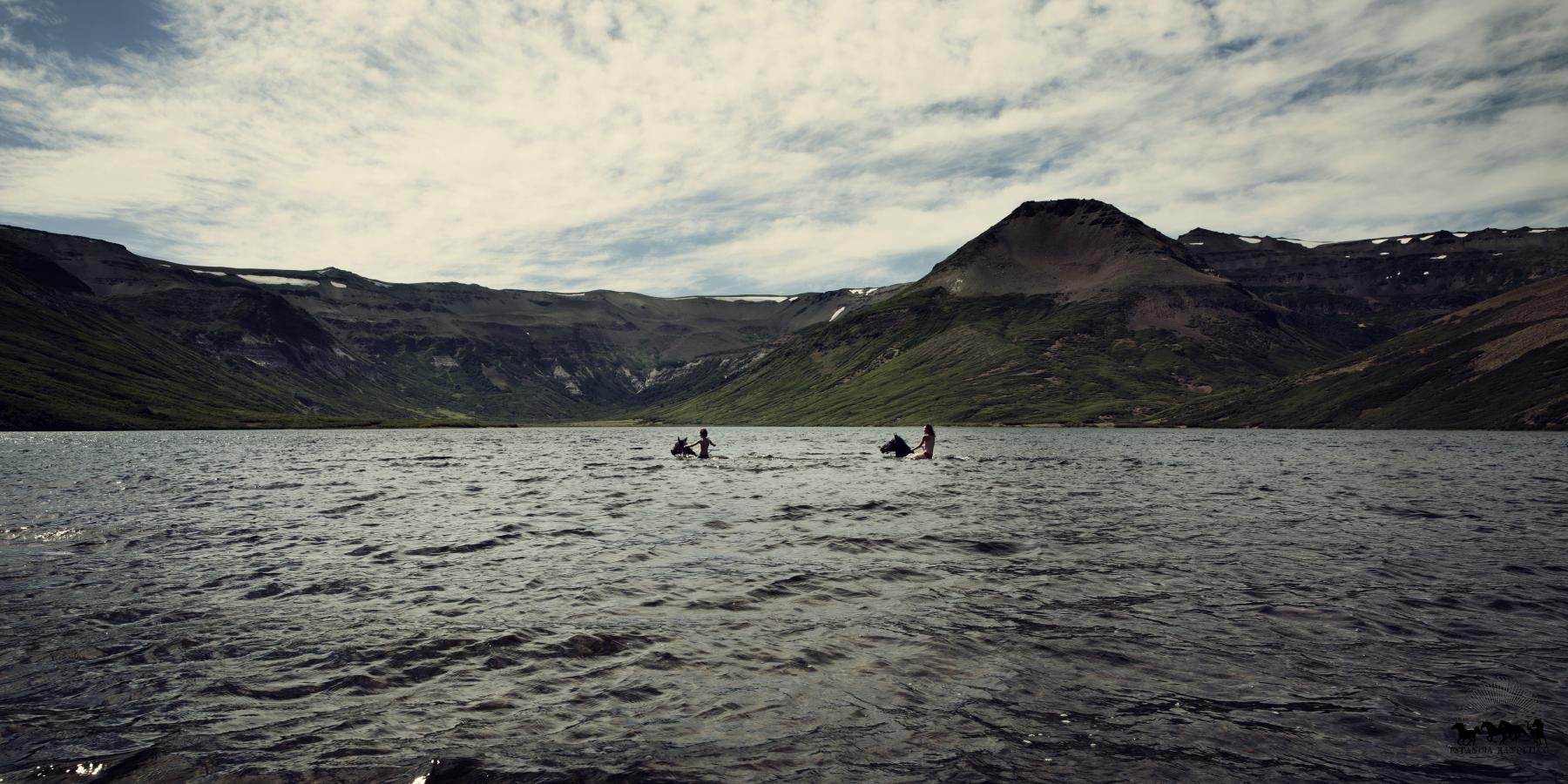 Swimming with horses in an alpine lake in Argentina