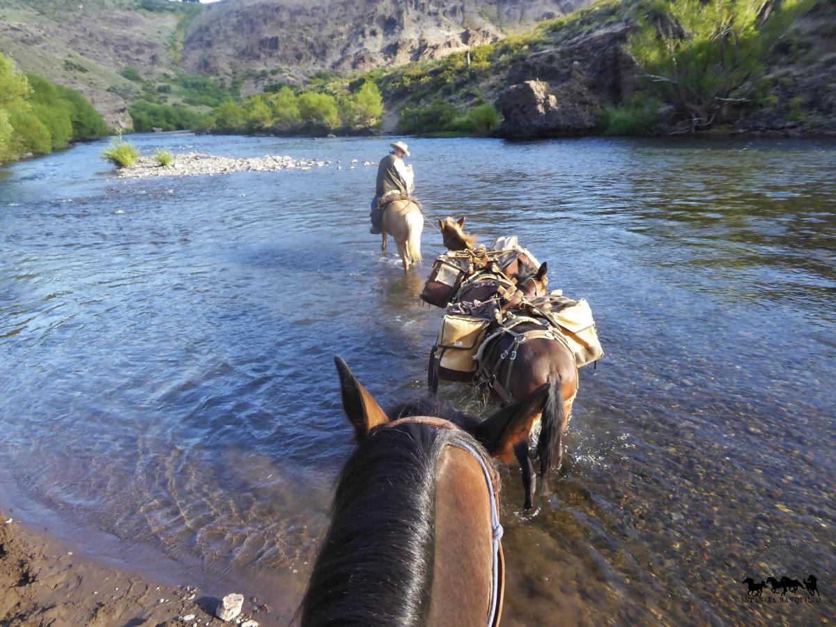 Leading string of pack animals across the river at ecolodge Estancia Ranquilco in Patagonia Argentina