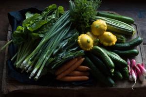 Fresh organic vegetable from the gardens of Estancia Ranquilco
