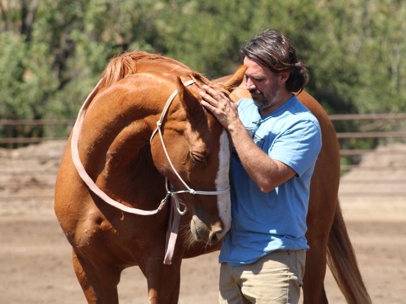 Cristo Scarpati hugging horse's head during a horsemanship clinic